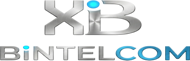 Bintelcom Logo